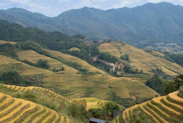 Longsheng Longji Rice Terraces